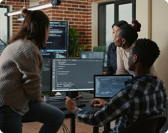 Web Solutions & Software Development